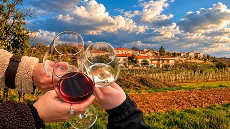 Kras vinogradi vino