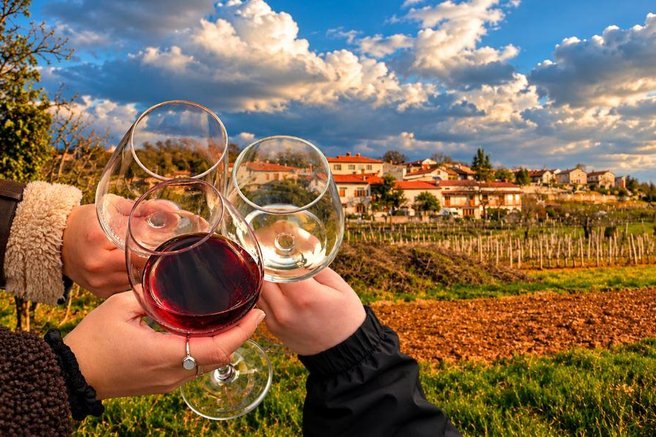 Kras vinogradi vino