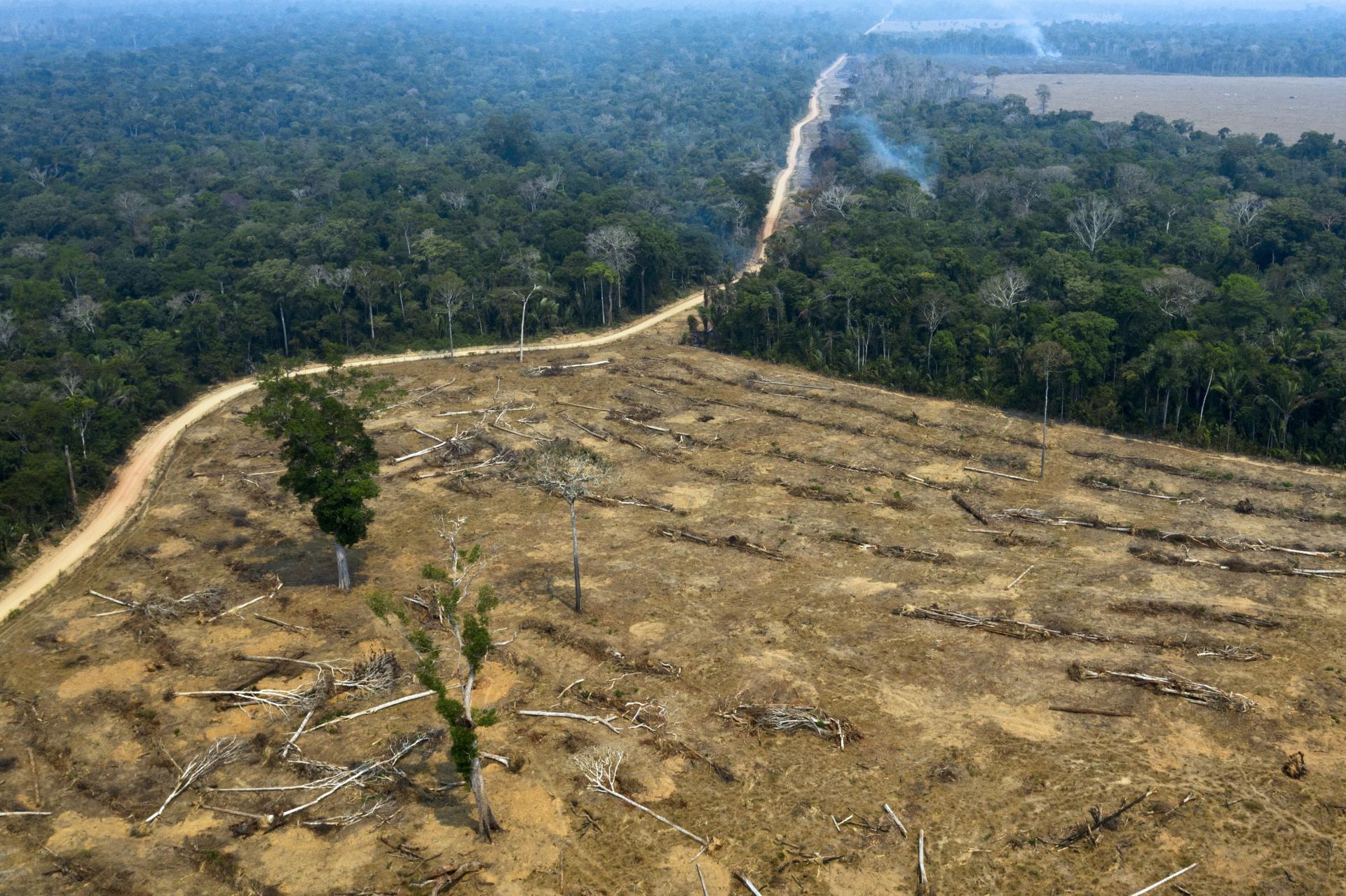 Zračni posnetek območij, kjer je amazonski pragozd pogorel, blizu Porto Velha v brazilski zvezni državi Rondonia.