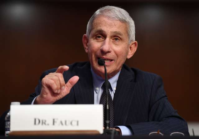 fauci