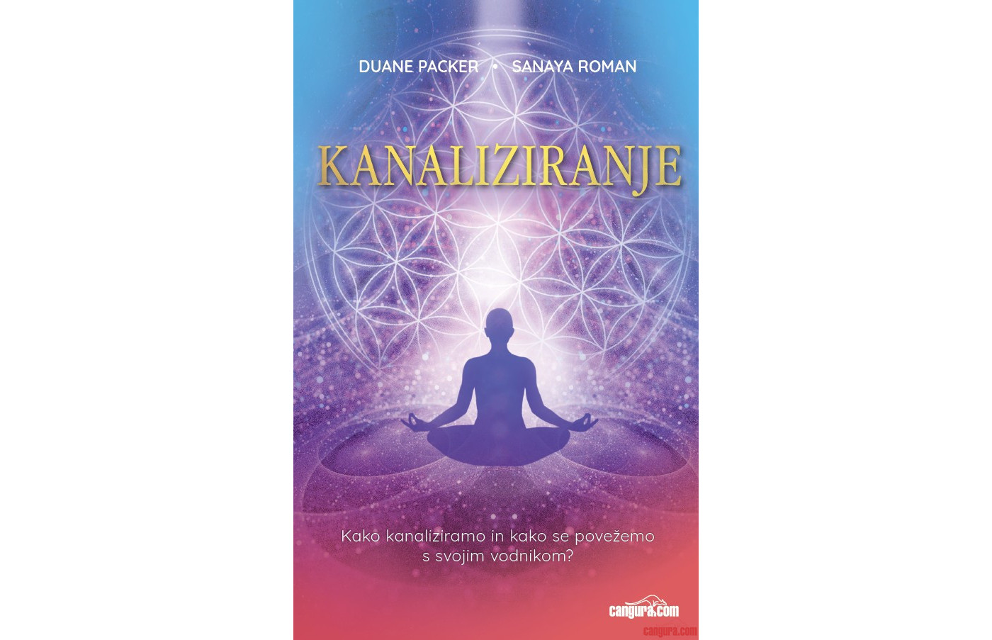 kanaliziranje
