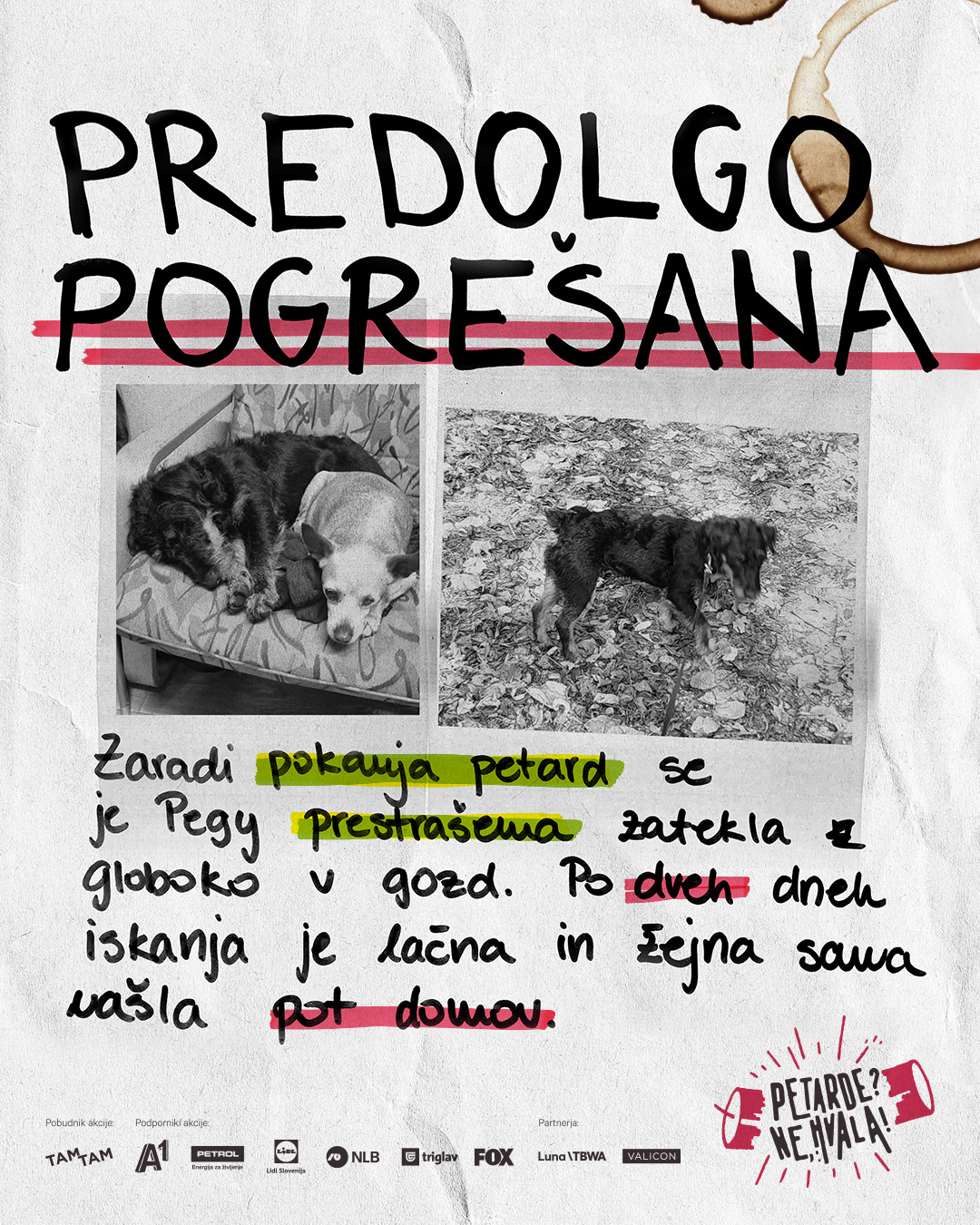 petarde