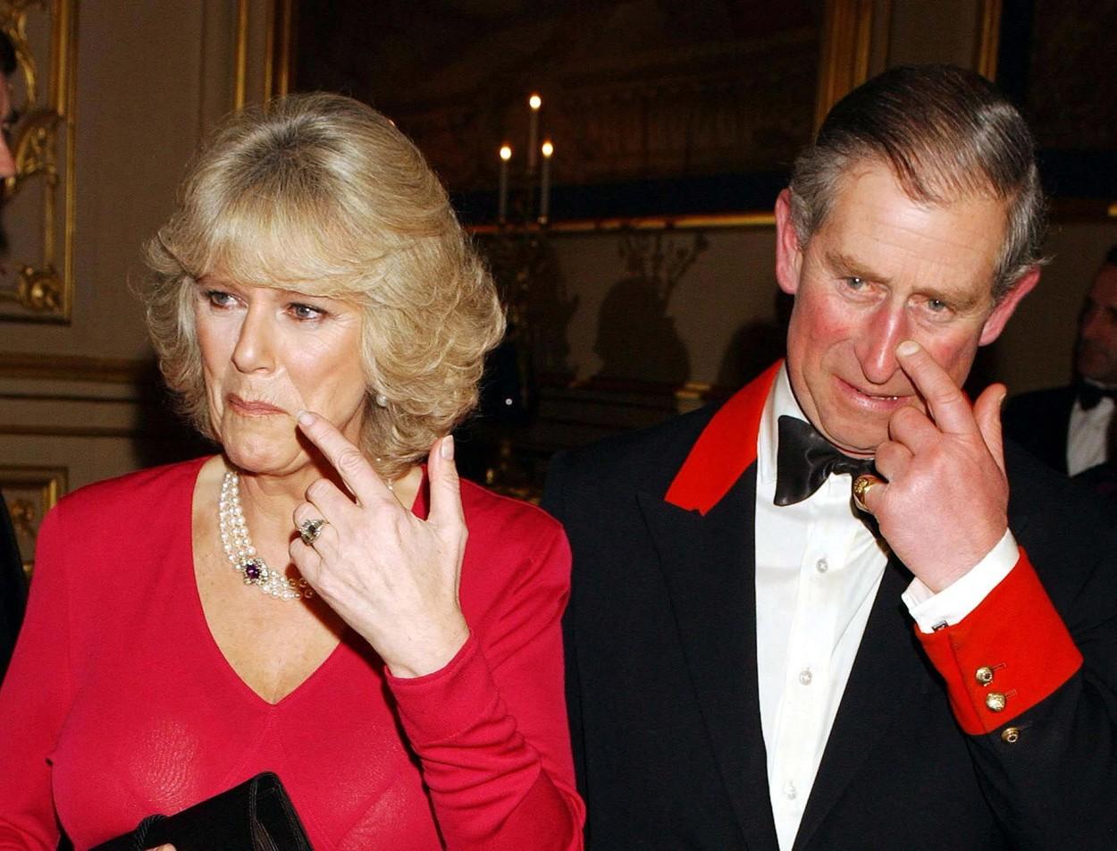 Charles in Camilla