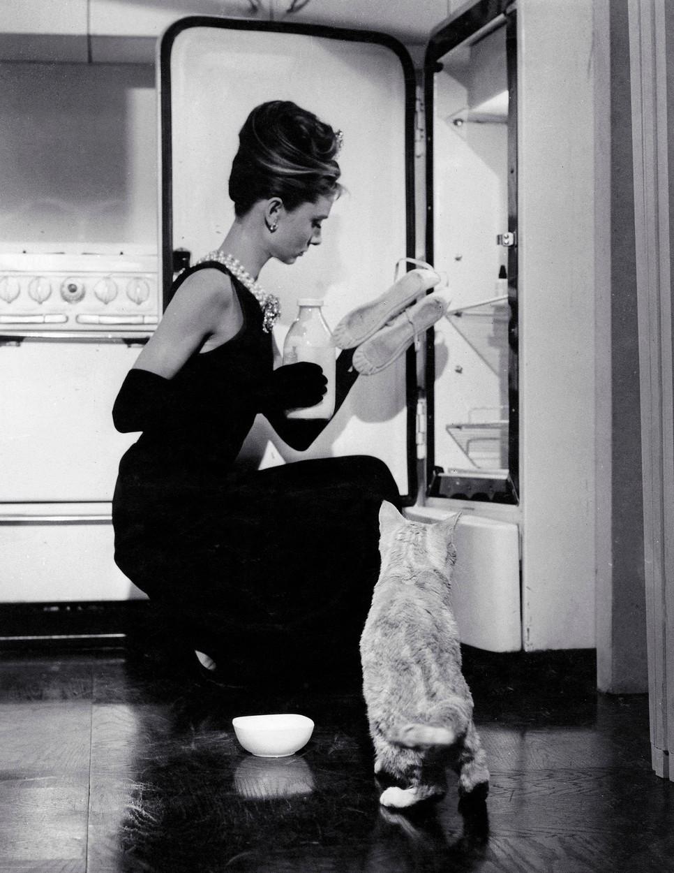 Audrey Hepburn