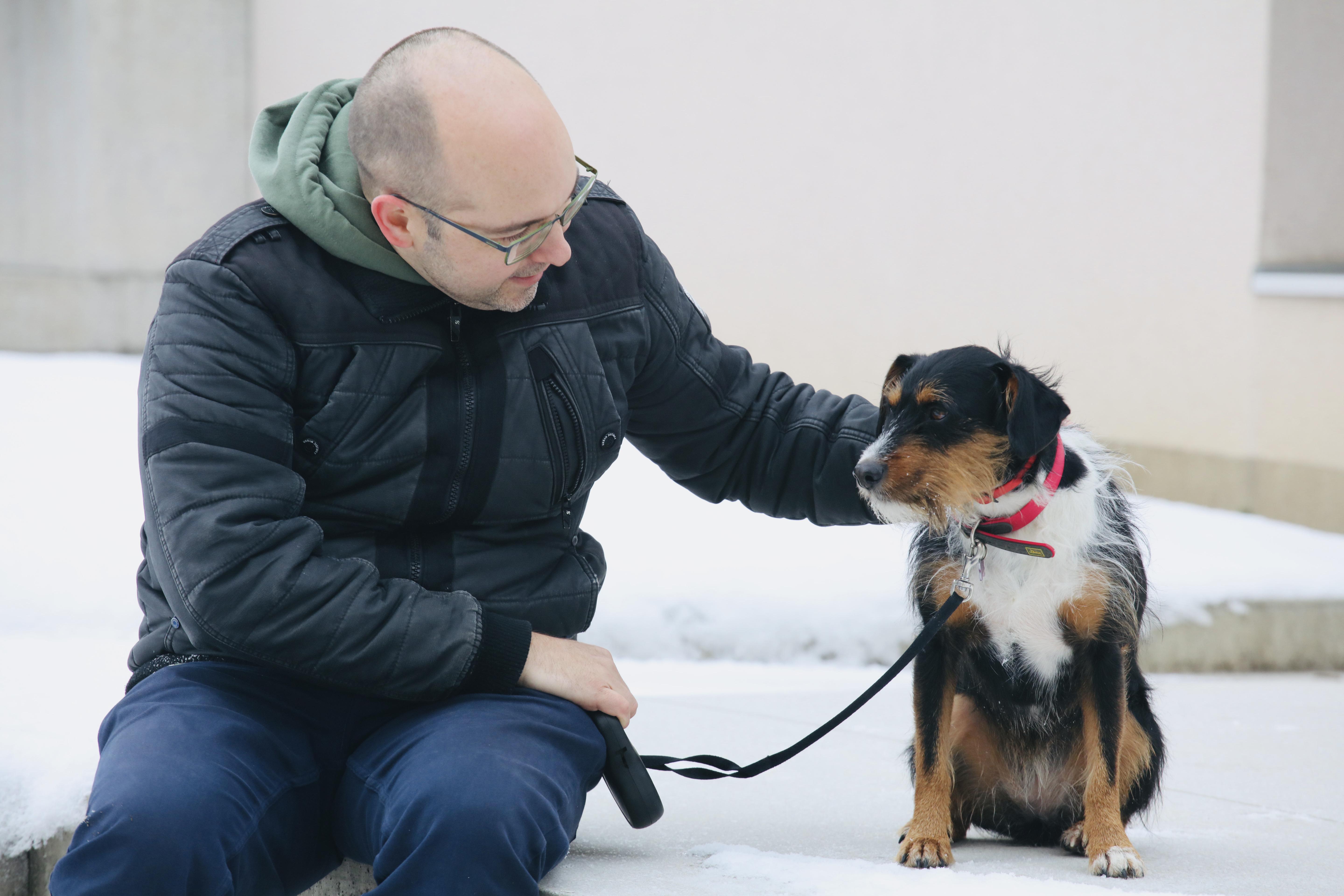 Največkrat pride do večjih težav takrat, ko se boječemu karakterju psa pridruži odnos lastnika, ki do sebe ne zahteva spoštovanja.