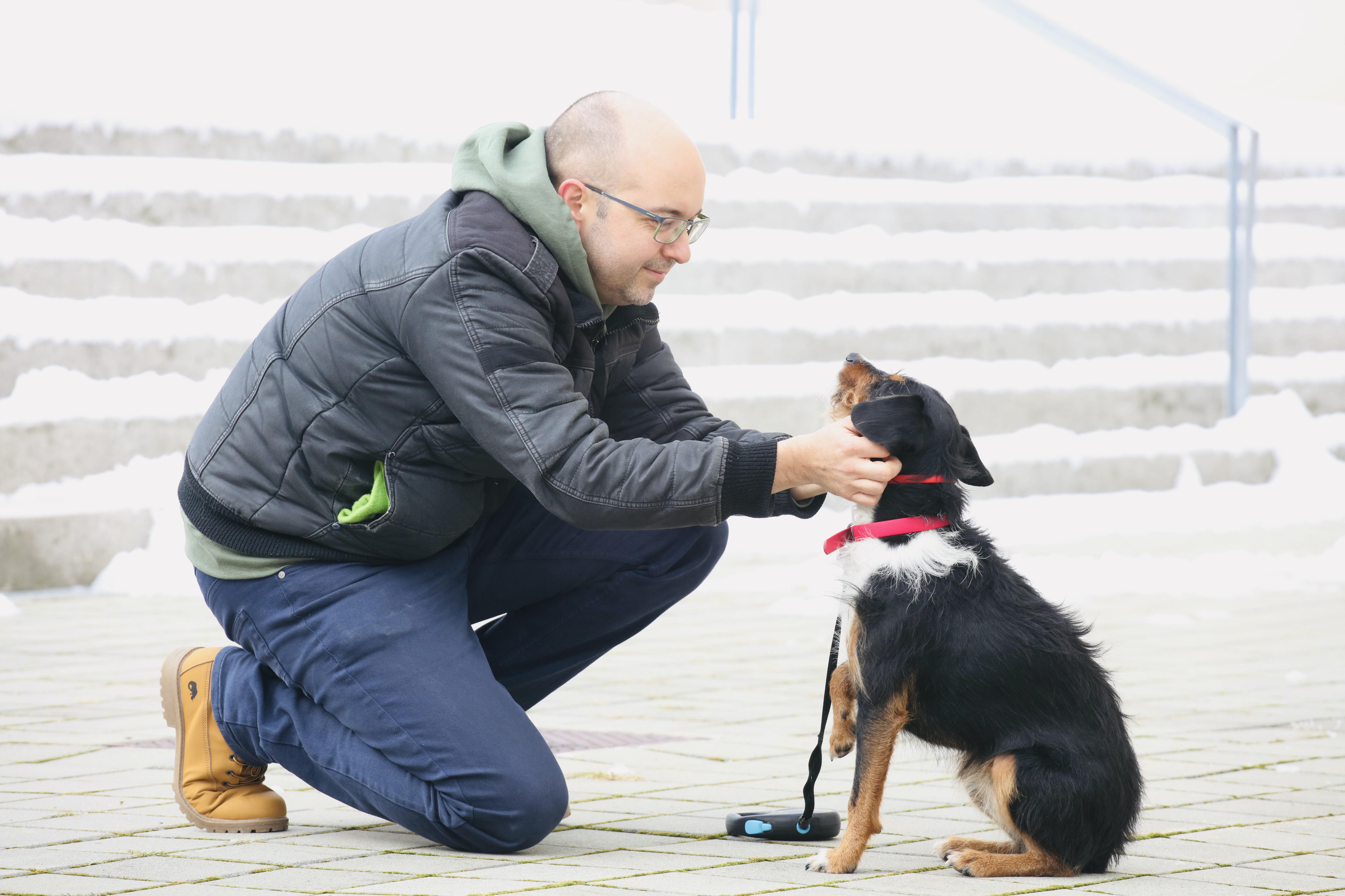 Njegove izkušnje kažejo, da karakter psa veliko bolj vpliva na njegovo vedenje kot sama pasma.