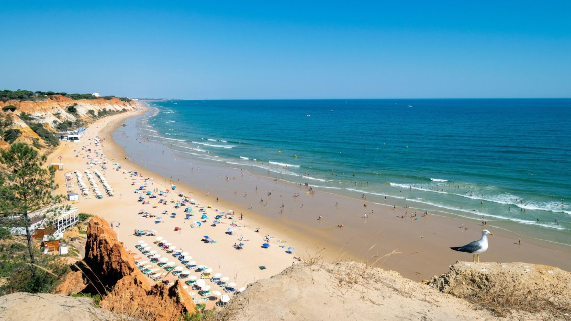 Praia da Falesia, Portugalska