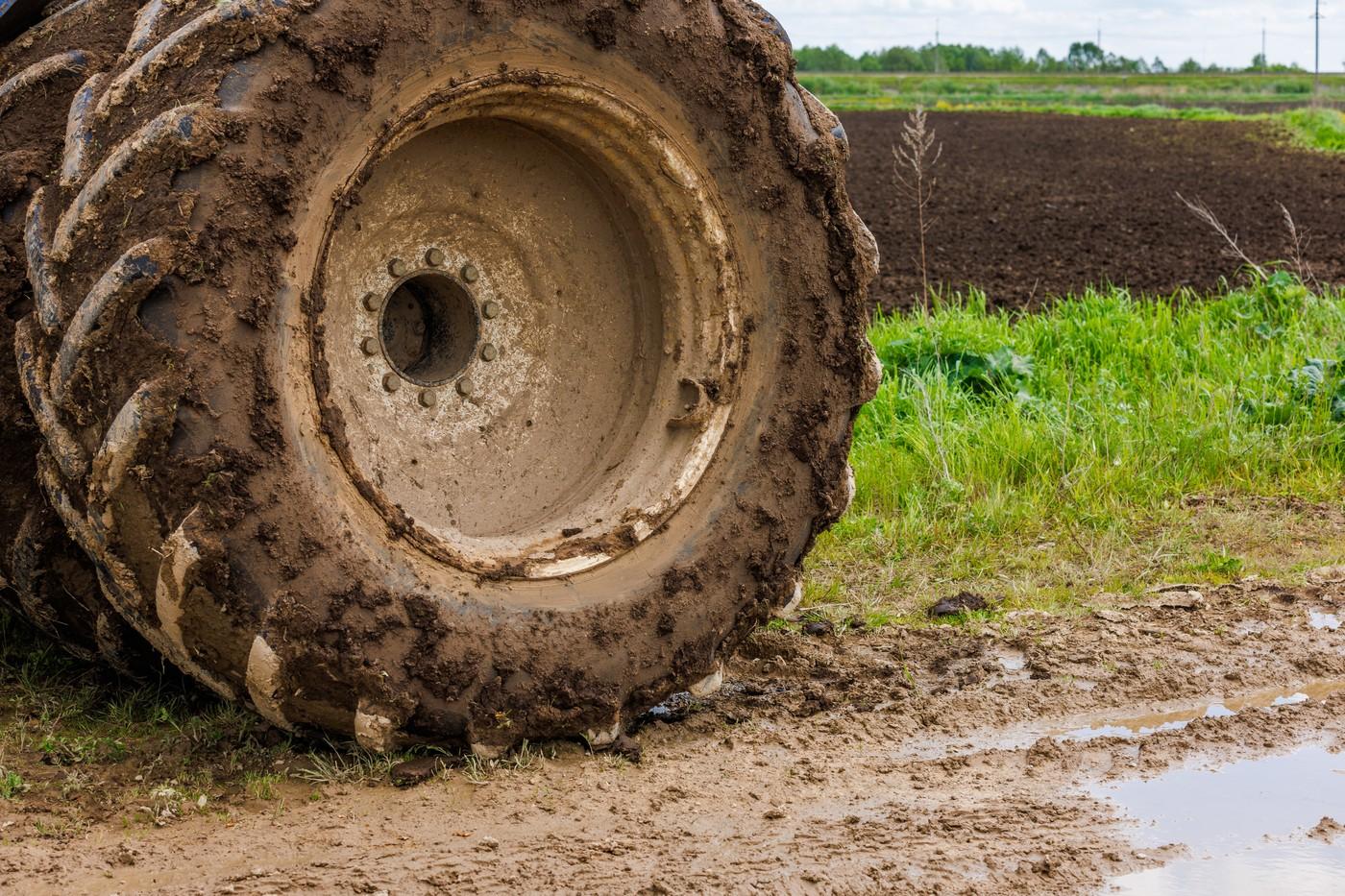 Fotografija je simbolična.