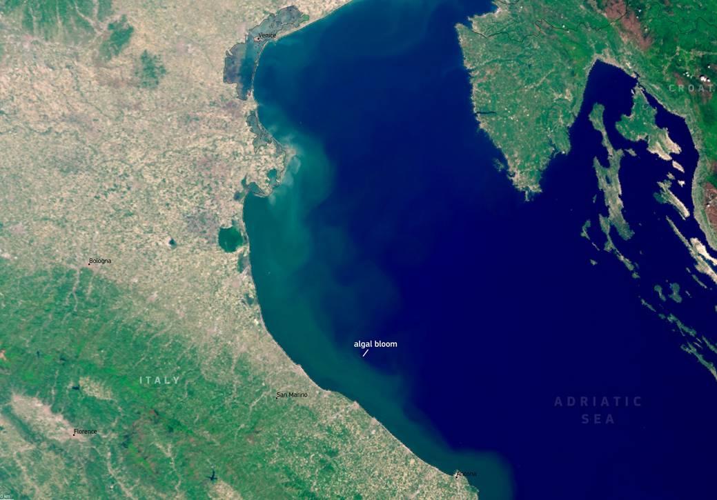 Copernicus EU posnetek alge Jadran cvetenje Italija