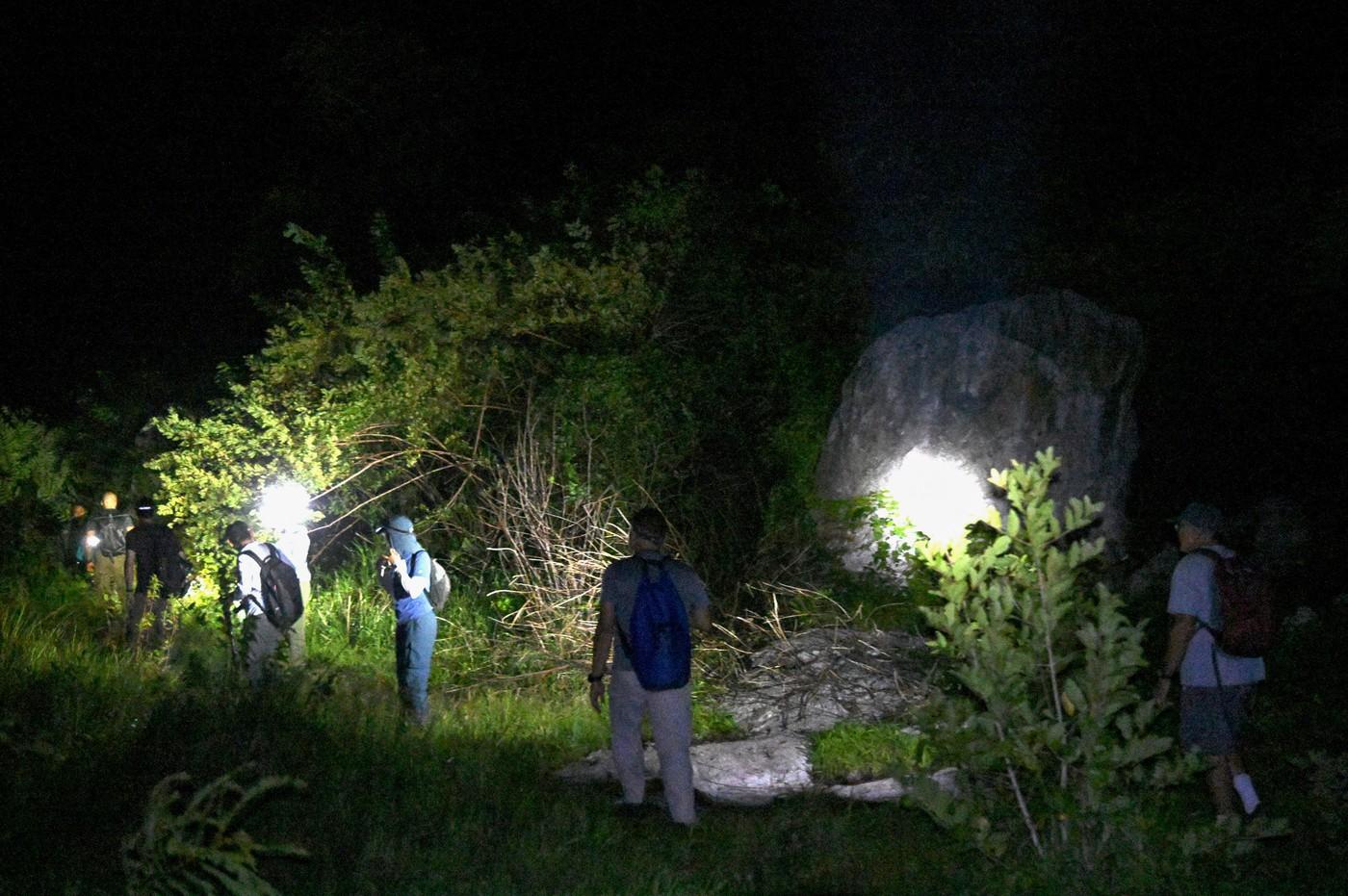 jama v kambodži, živali