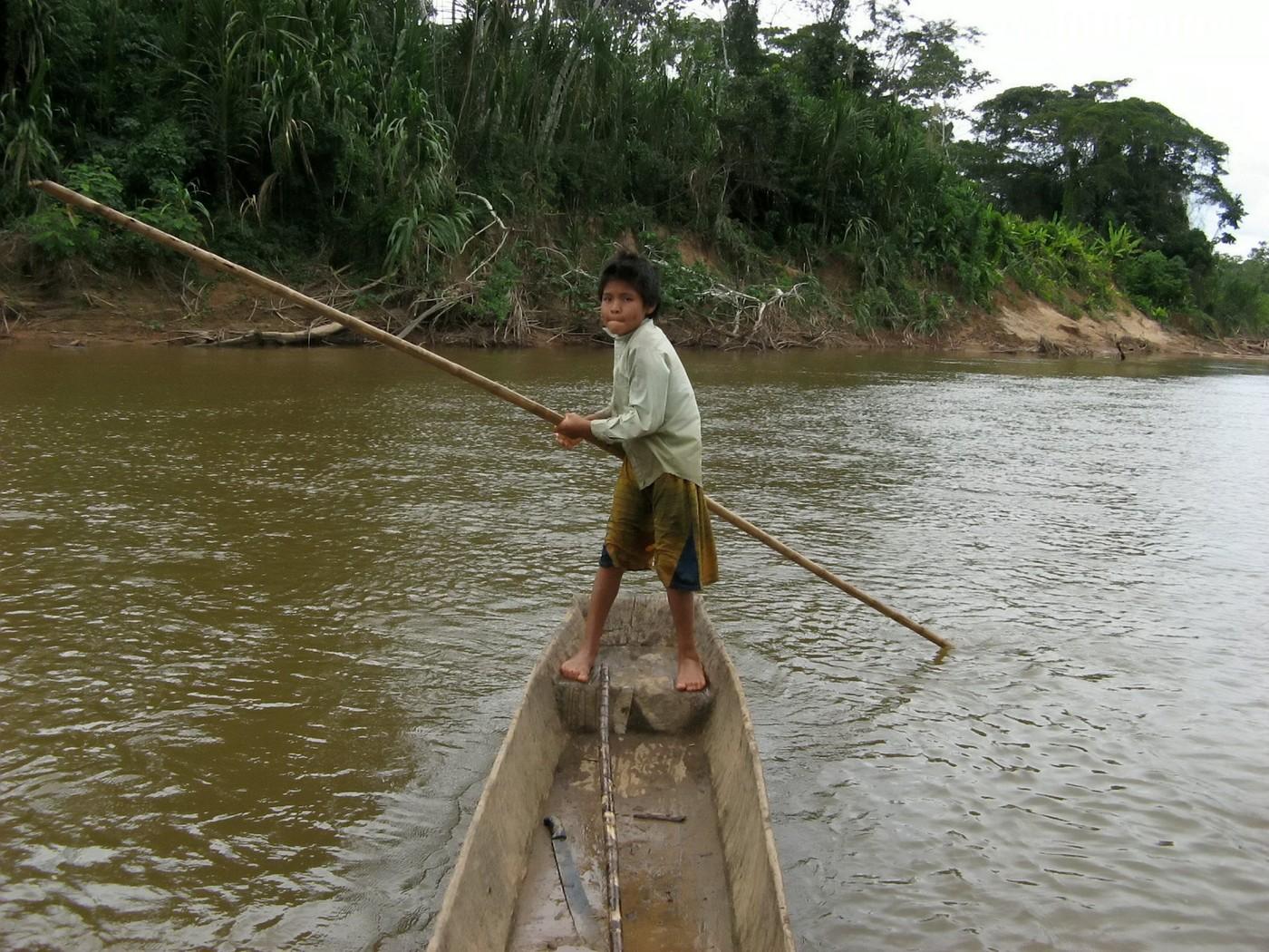tsimane