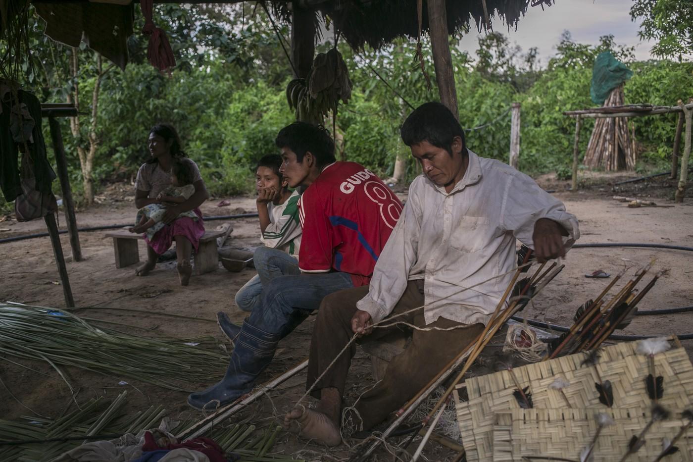 tsimane