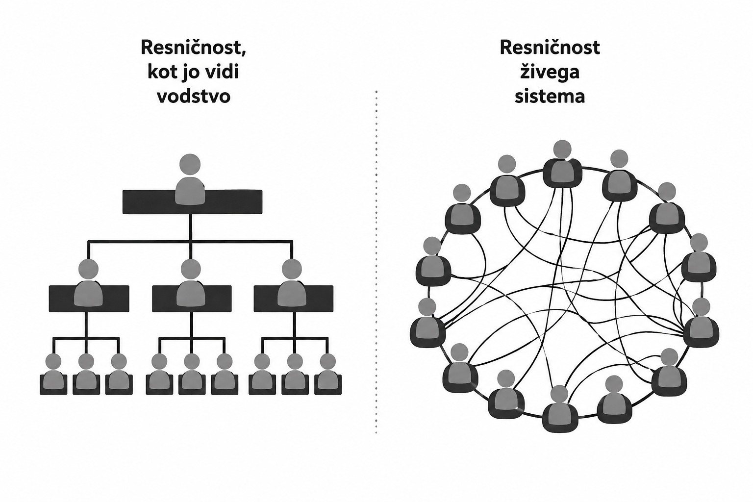struktura, podjetje, živ organizem